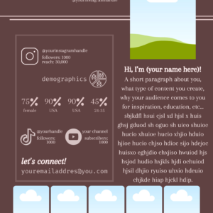 Media kit template with space for your profile photo and demographic information